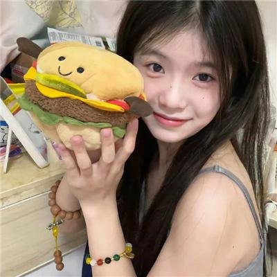 维纳斯计划